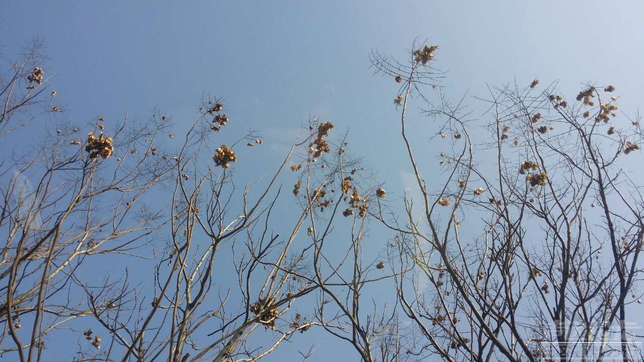 20181103_66666_1541214749029.jpg