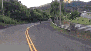 2018110419661541290981608842.gif