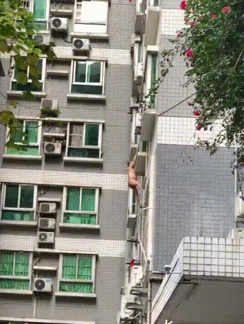 2018112719661543271015893091.gif
