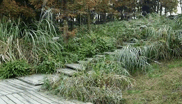 20181205_35902_1544013715597.gif