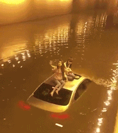 2018122019661545260734814405.gif