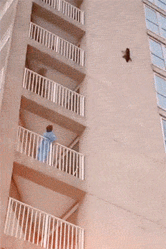2018122119661545345316636382.gif