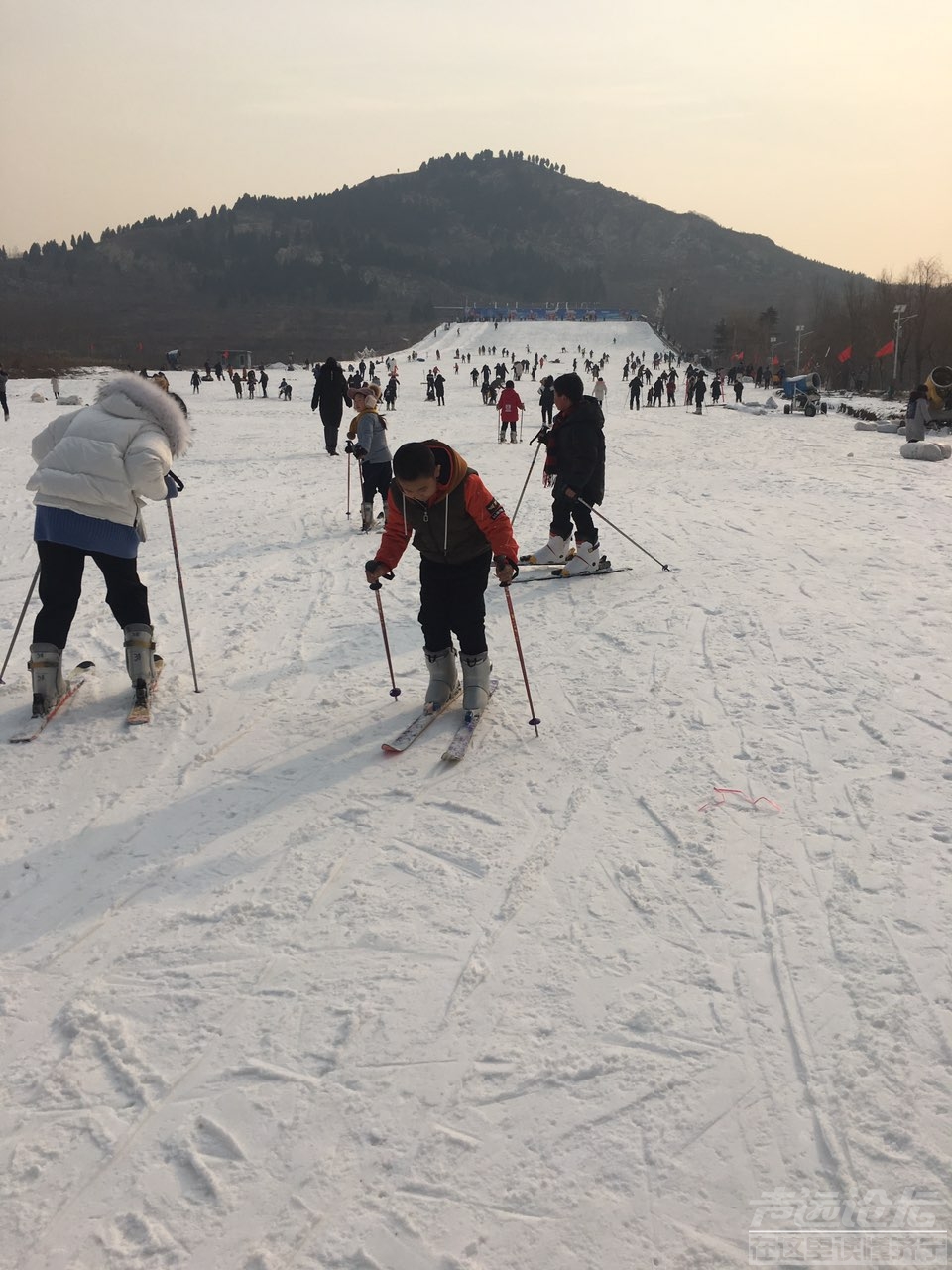 201901013160331546340868068744.jpg