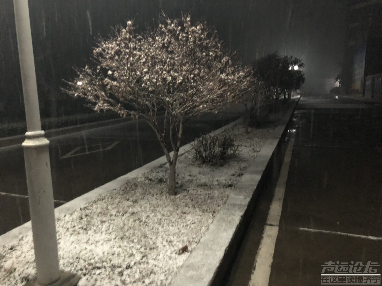 201901045482441546541255270647.jpg