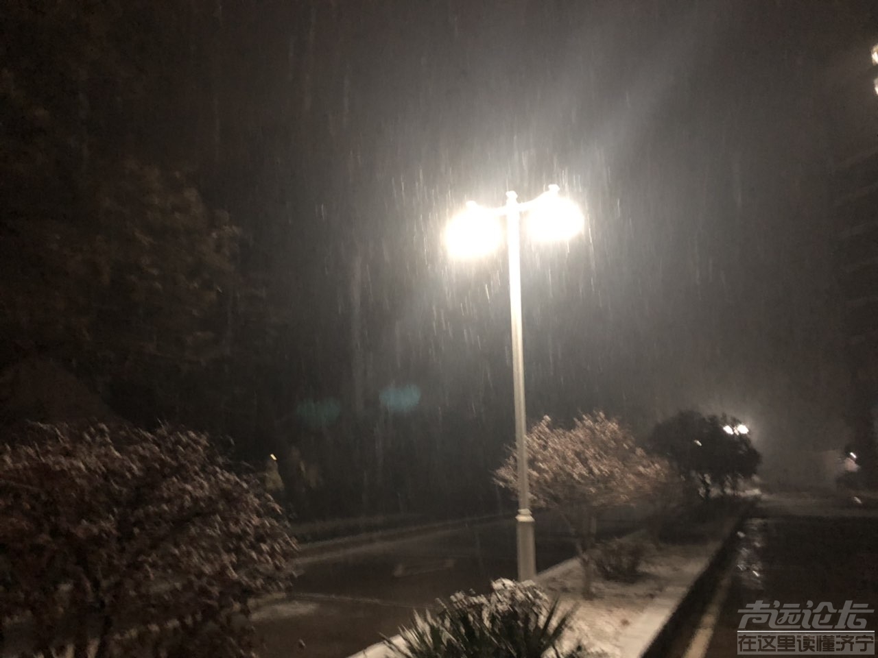 201901045482441546541255221276.jpg