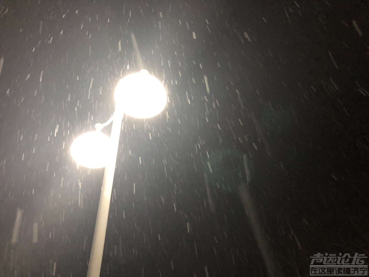 201901045482441546541255311843.jpg