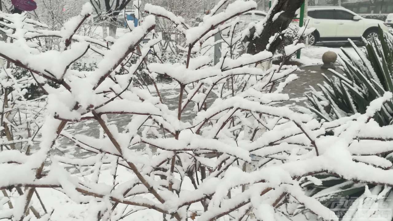 20190104_1474_1546563022864.jpg