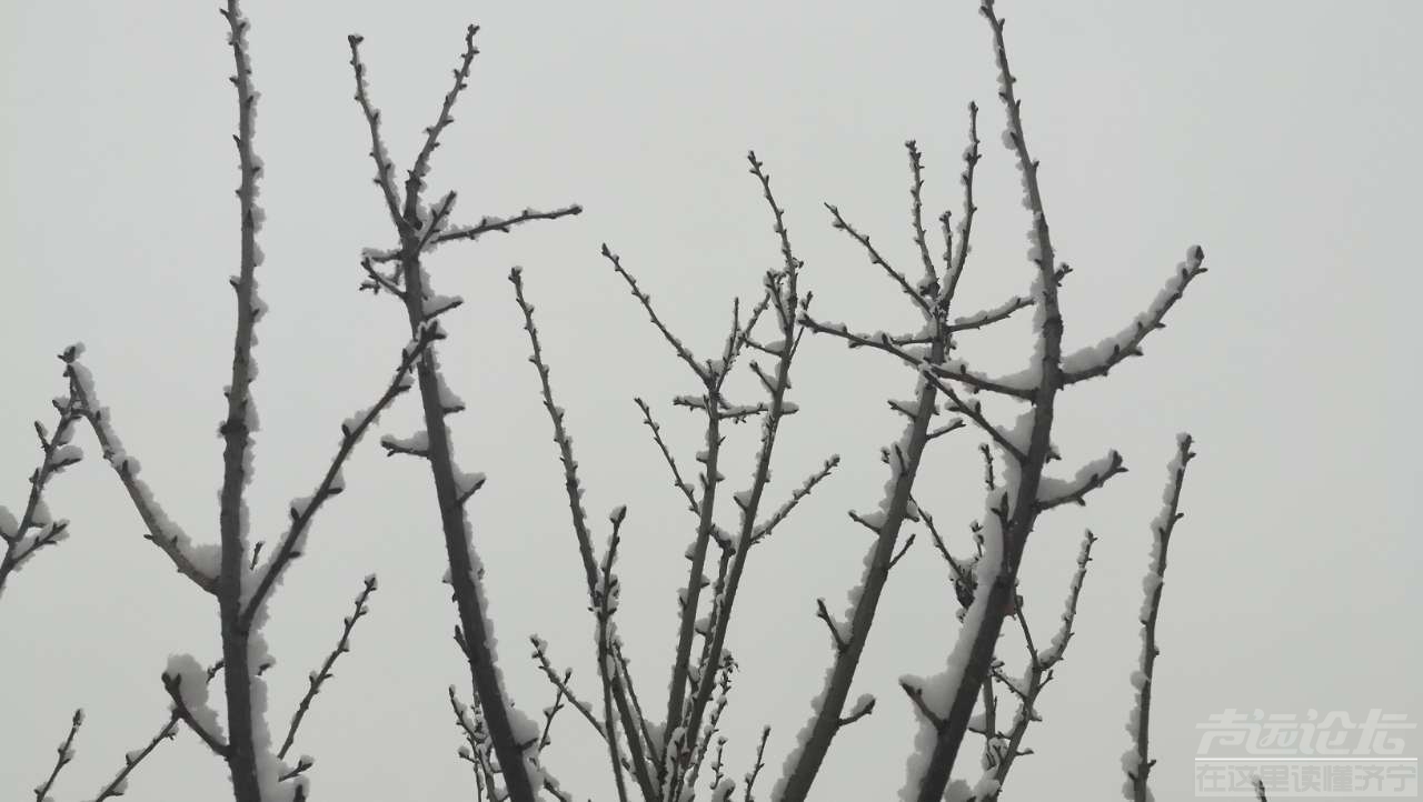 20190104_1474_1546563023071.jpg