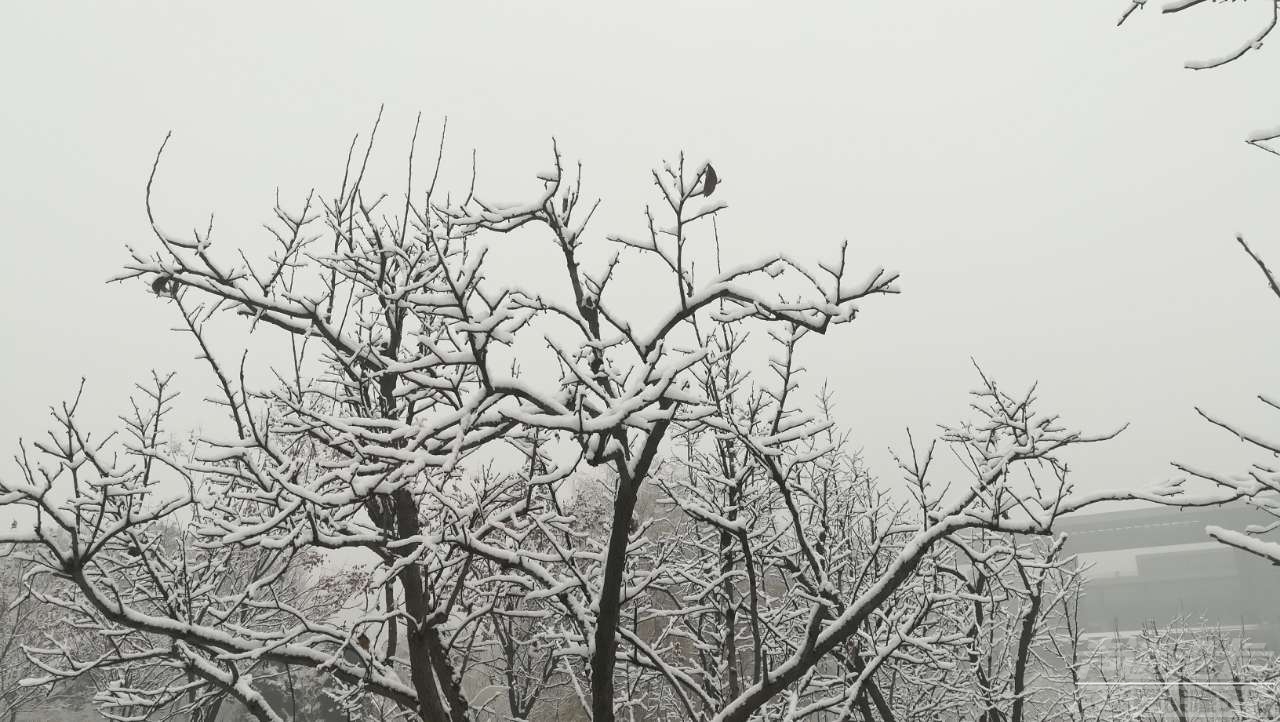 20190104_1474_1546563023698.jpg