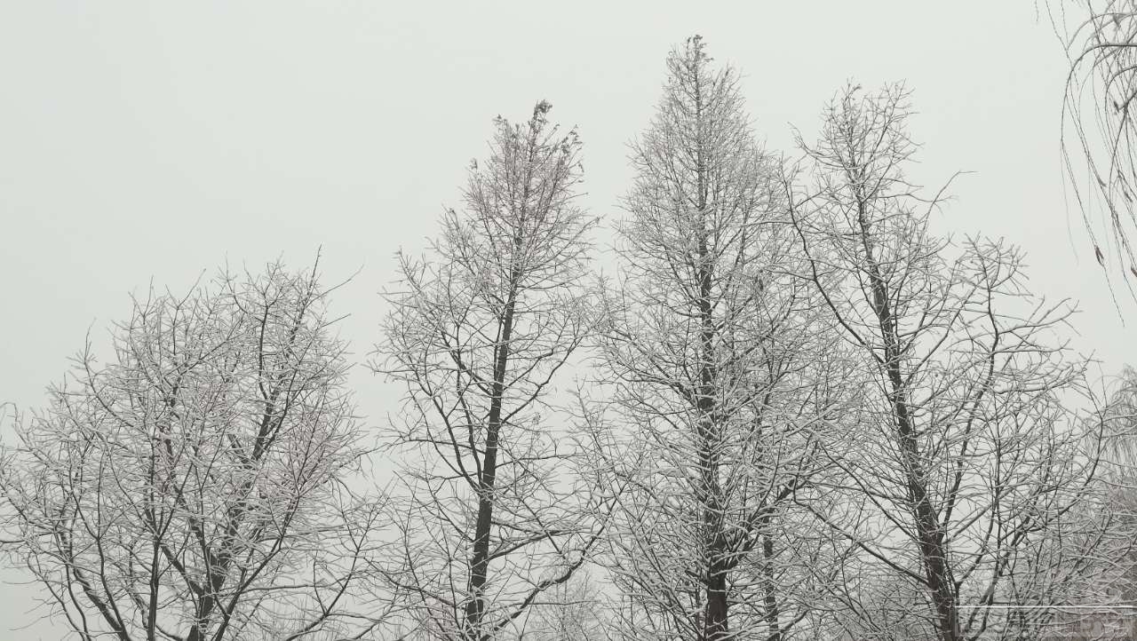 20190104_1474_1546563024071.jpg