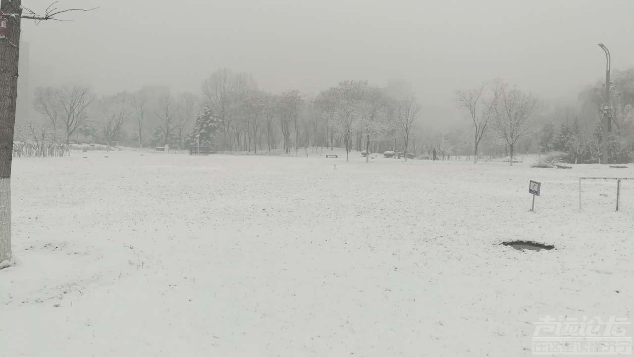 20190104_1474_1546563023902.jpg