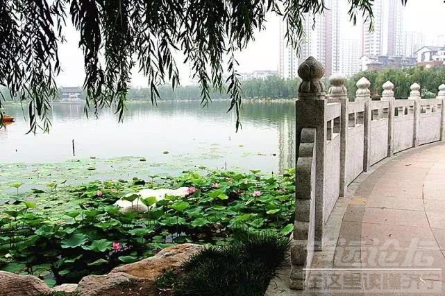 微信图片_20190115173728.jpg