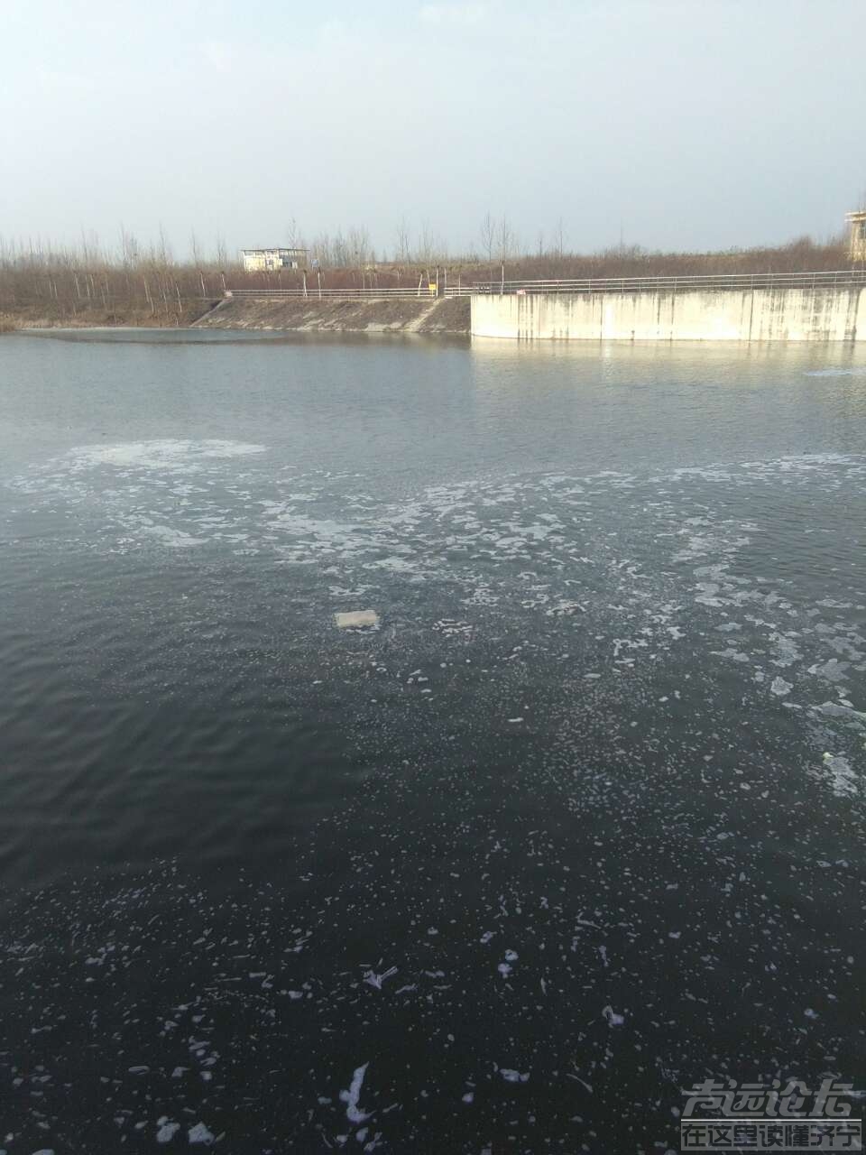 20190129_524294_1548737439741.jpg