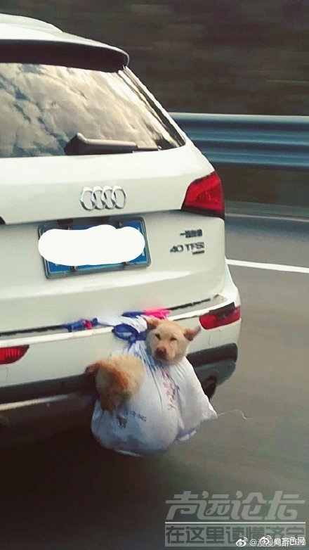 70e081fbly1g01bc9jbcwj20c80lq0tq.jpg