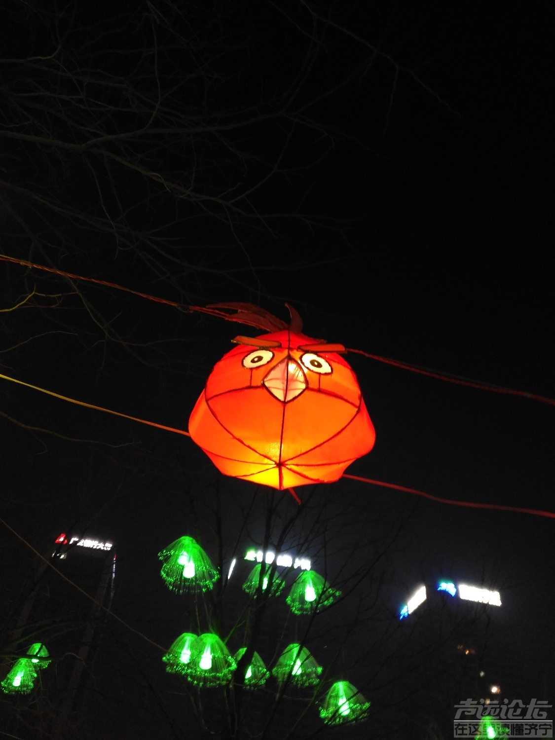 IMG_20190211_191356.jpg