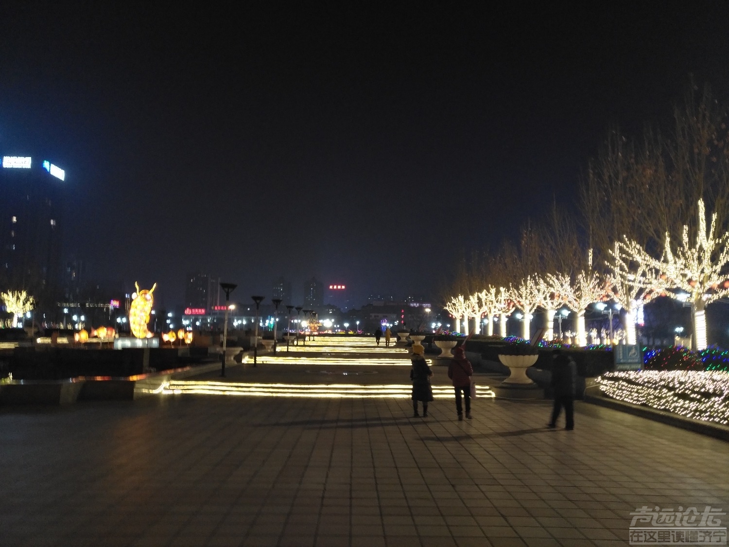 IMG_20190211_185604.jpg