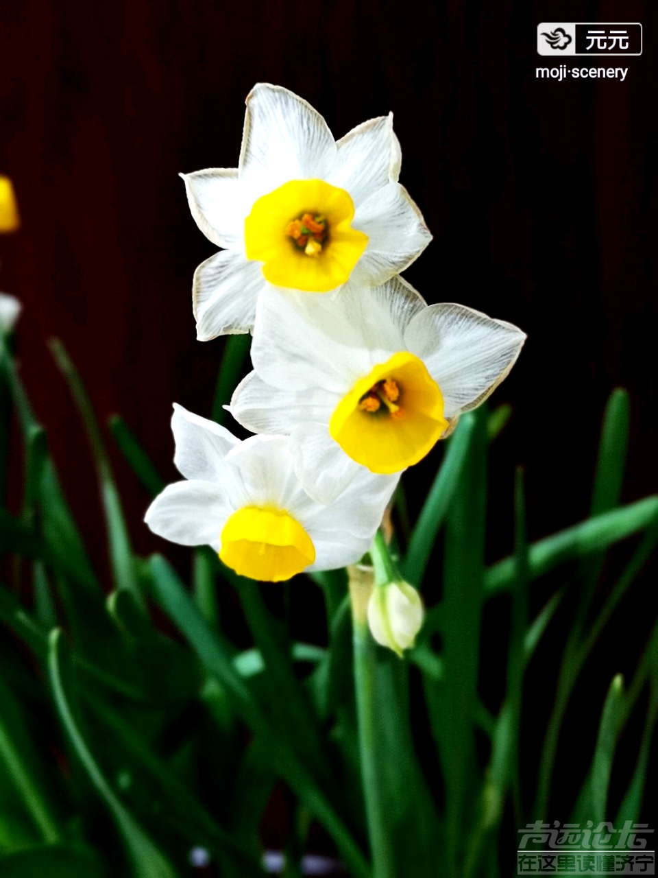 20190213_564876_1550021535985.png