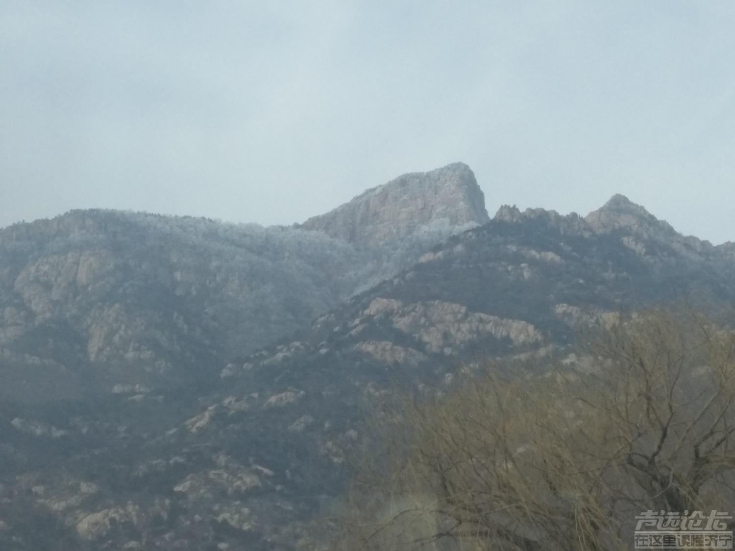 IMG_20190215_150739.jpg