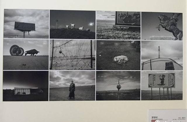 情定一生无悔过丨8 创全新招丨“情定两园 和谐宜居”艺术论坛启动仪式暨摄影沙龙开...-3.jpeg