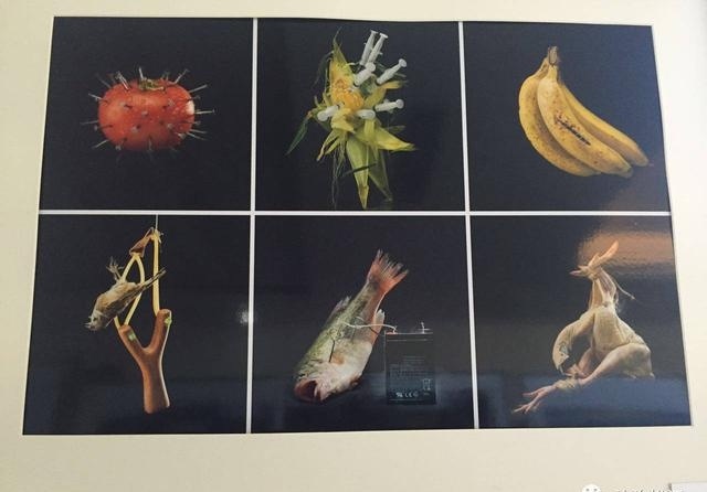 情定一生无悔过丨8 创全新招丨“情定两园 和谐宜居”艺术论坛启动仪式暨摄影沙龙开...-4.jpeg