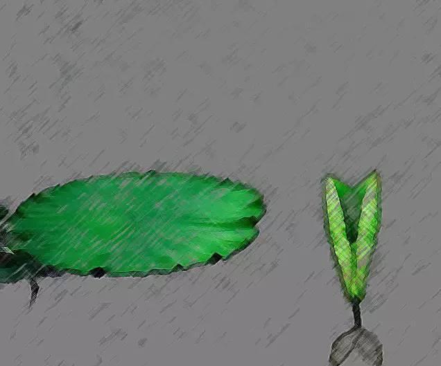 奥德赛游戏 迎接着盛夏阳光 人民摄影报德赛摄影沙龙（第七辑）-2.jpeg