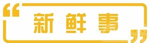 汽车金融行业 千丰汽车金融行业微资讯第7期｜News-1.jpeg