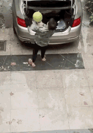 2019030419661551653706497252.gif