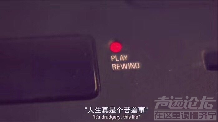 201903135380311552458658025594.jpg