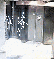 20190314_50233_1552569095554.gif