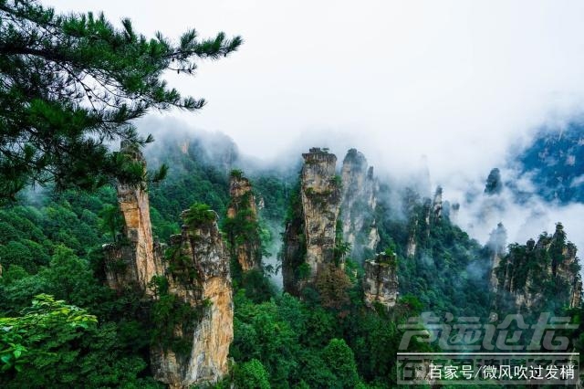 贵阳自驾游张家界旅游线路 张家界自驾游最佳旅游线路（精华）-8.jpg