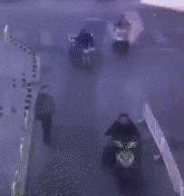 2019031519661552603760325478.gif