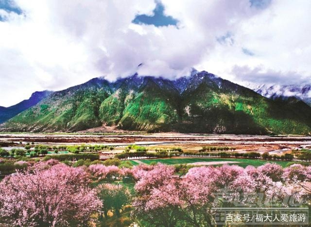 2019林芝桃花什么时候开 走马观花，藏地江南｜拉萨—林芝—波密—米堆赏花自驾游-6.jpg