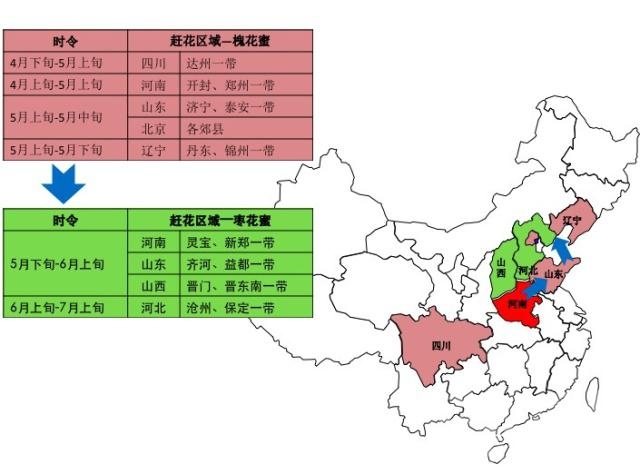 赏花的唯美浪漫诗句 这种农作让人感觉很浪漫，如同赏花自驾游，他们迁徙路线有何奥秘-1.jpg