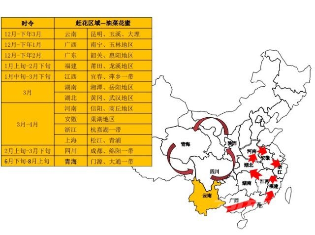 赏花的唯美浪漫诗句 这种农作让人感觉很浪漫，如同赏花自驾游，他们迁徙路线有何奥秘-2.jpg