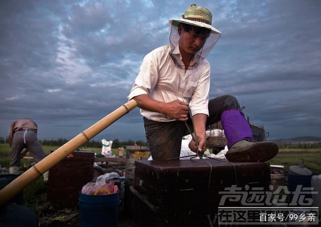 赏花的唯美浪漫诗句 这种农作让人感觉很浪漫，如同赏花自驾游，他们迁徙路线有何奥秘-3.jpg