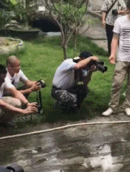 2019032019661553011863190653.gif