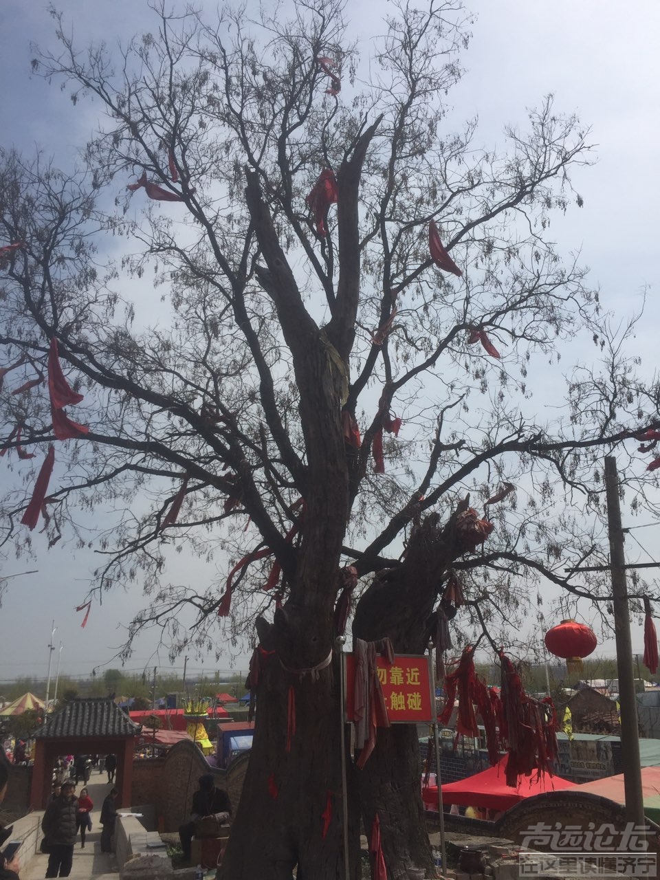 寺堌堆会【声远论坛首发，谢绝转载】-6.jpg