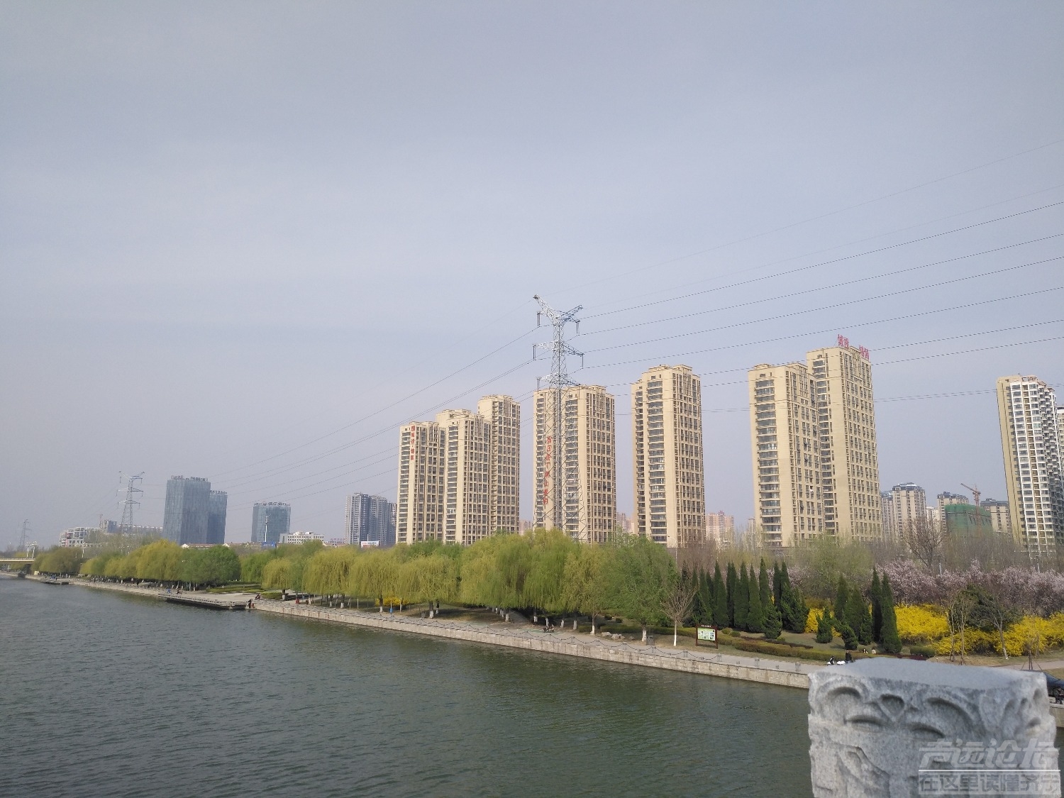 IMG_20190324_145832.jpg