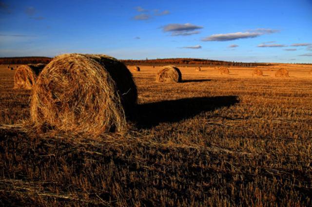 和义大道 在和义大道的春季会员日 听一场极致风光背后的故事分享-4.jpg