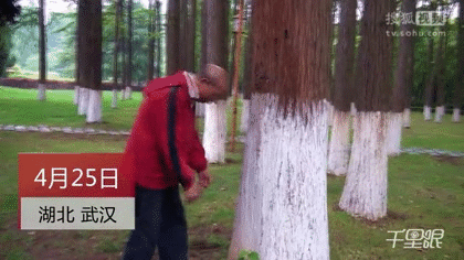 201904095764501554775941382567.gif