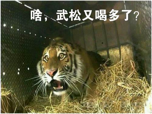 调整大小 11s2q.jpg