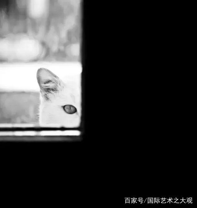 2018世界著名摄影大师 大师视觉系列，高对比度摄影精选-3.jpg