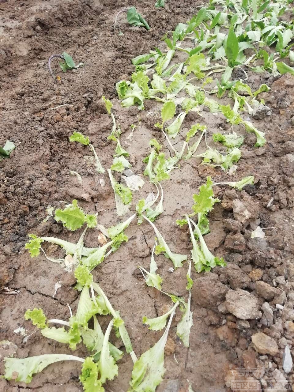 20190413_16765_1555161293917.jpg