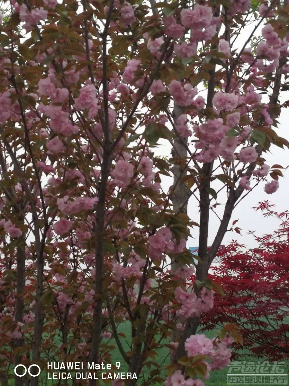 20190414_564876_1555224375041.jpg