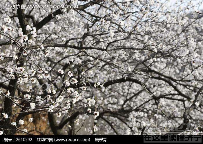 20190414_564876_1555224434385.jpg