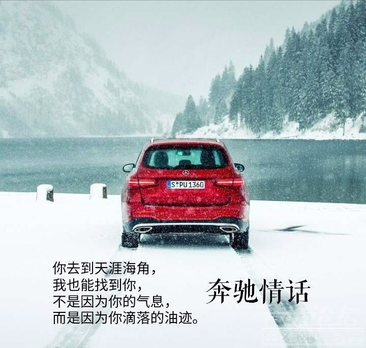 -49b8e2c542dcc92a.jpg