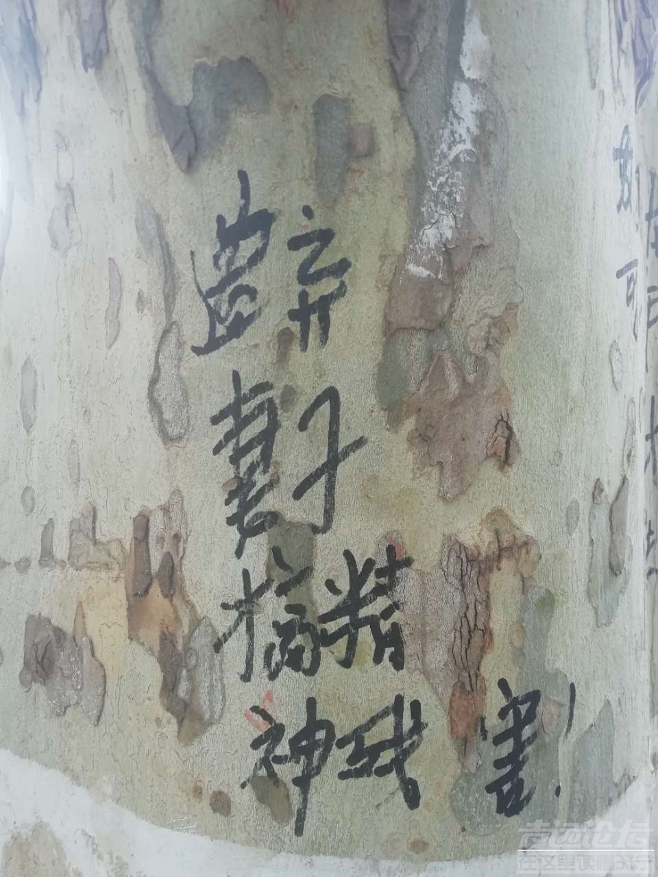 20190416_35902_1555407703813.jpg