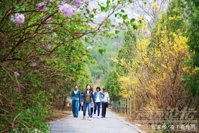 昌平阳坊 五一京郊昌平自驾游，找古迹，搜寻阳坊最好吃的美食-10.jpg