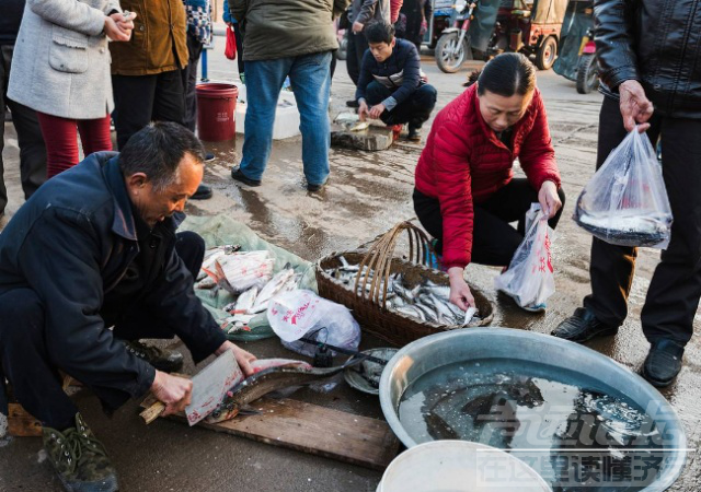 菜市场常见的鱼 菜市场买鱼时，明白人会做这3个“小动作”，保准鱼新鲜又好吃-1.jpg