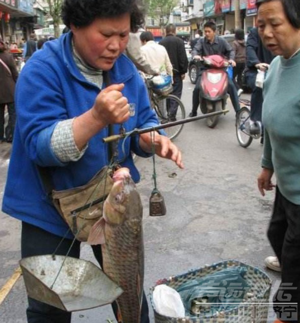 菜市场常见的鱼 菜市场买鱼时，明白人会做这3个“小动作”，保准鱼新鲜又好吃-4.jpg